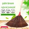 Palm Bristle Long-Handle Broom & Dustpan Set for Home & Garden - Newcomer Discount