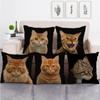 Cute Animal Cat Printing Series Sofa Creative Cushion Cover Simple Pillow  Home Party Car