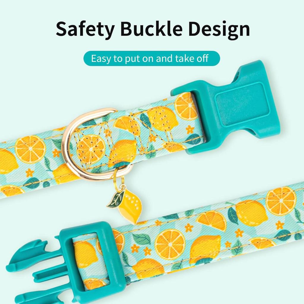 Cute Dog Collar Adjustable and Lightweight for Girl Female Boy Dogs,Soft and Fancy Summer Dog Collar with Lemon Special Design Pet Collar for Small