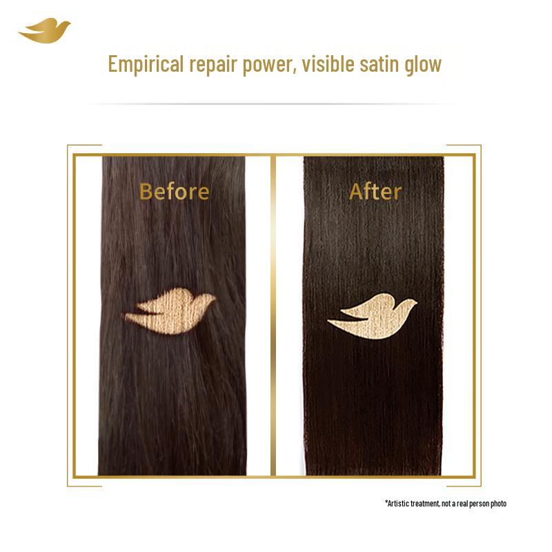 Dove Repair & Brighten UV Damage Repair Shampoo