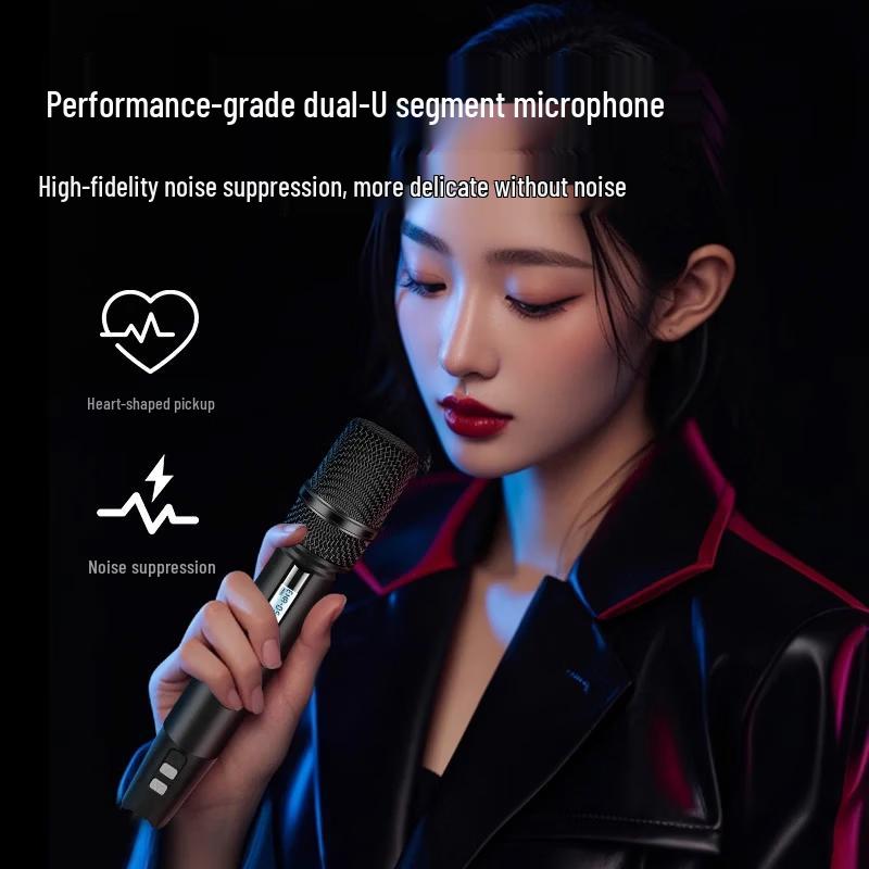 Портативная Bluetooth-колонка HiVi MP26 с двумя 6,5-дюймовыми динамиками (Китайская версия)