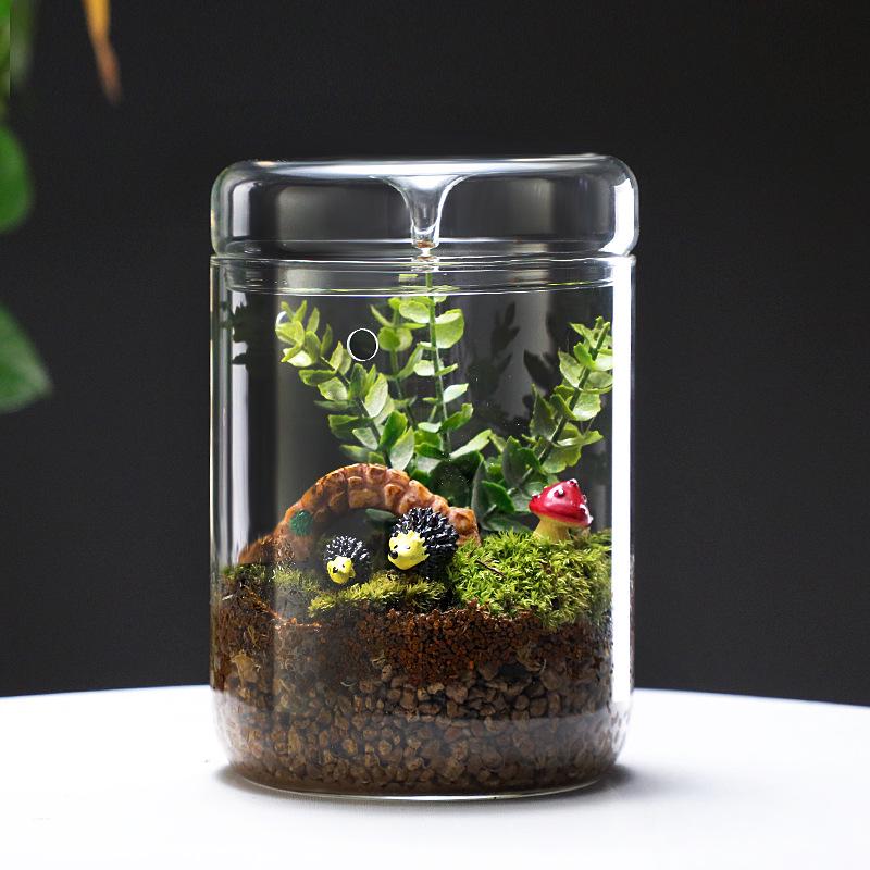 Dew Collection Mini Ecosystem: Moss Terrarium Glass Cover Decor