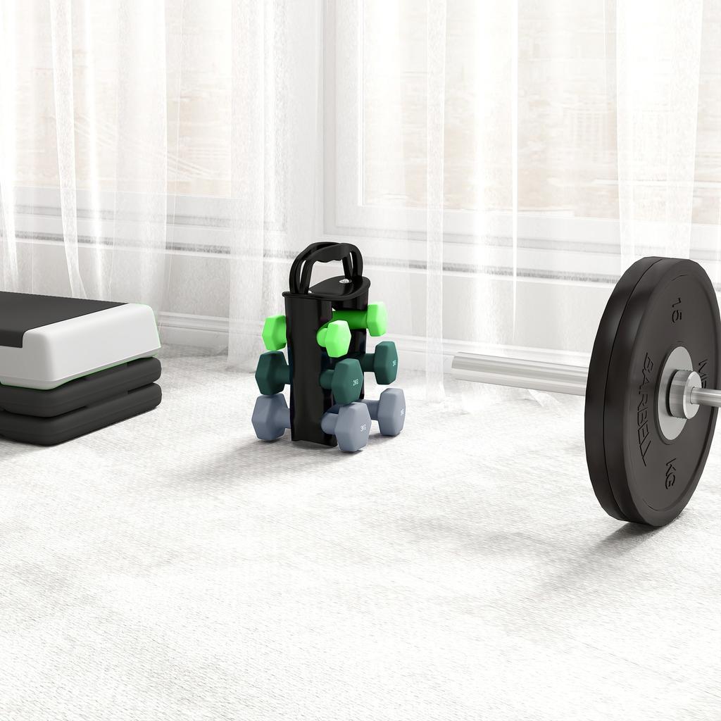 Dumbbells Set With Storage Rack 2 X 1kg 2 X 2kg 2 X 3kg Green