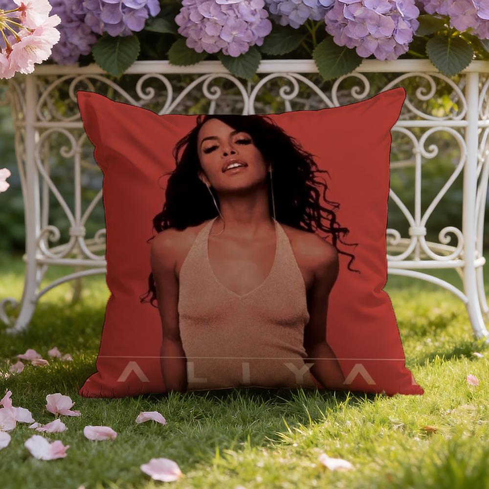Singer A-Aaliyah Cushion Cover Home & Car Dual-Scene Pillow Cover: Reversible for Premium Comfort