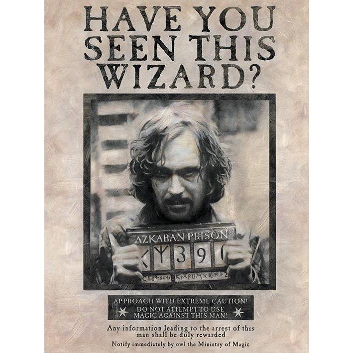 HARRY POTTER Печать на холсте Wanted Sirius Black