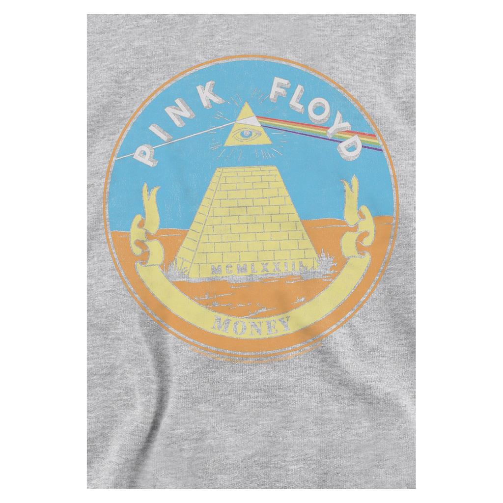 Pink Floyd Childrens/Kids Money Seal Heather Hoodie