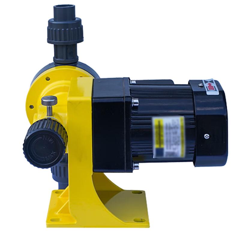 Bangwo GWM100L Diaphragm Metering Pump