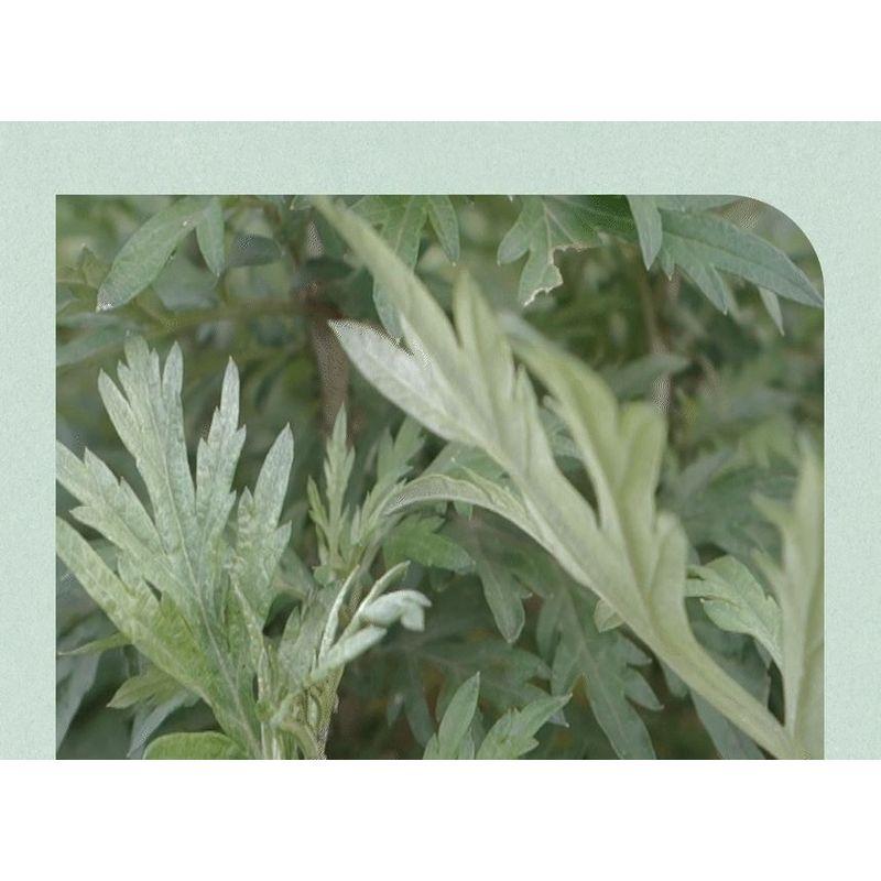 ISNTREE Успокаивающая глиняная маска с полынью, мини