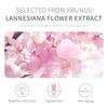 LAIKOU Солнцезащитный крем для лица Japan Sakura SPF50, солнцезащитный крем для защиты от ультрафиолетовых лучей PA+++, 50 г