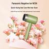 Panasonic High-Speed Ionic Hair Dryer CN plug (adapter included)