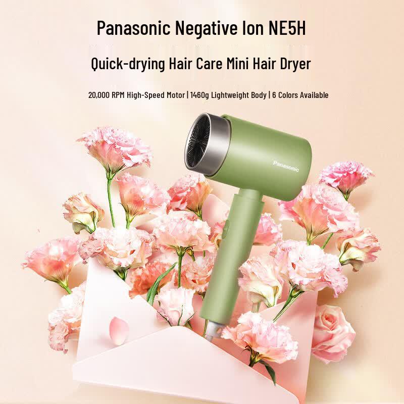 Panasonic High-Speed Ionic Hair Dryer CN plug (adapter included)