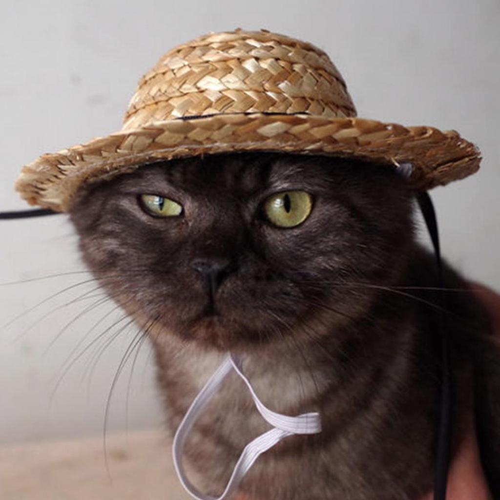 Соломенная шляпка для кошек