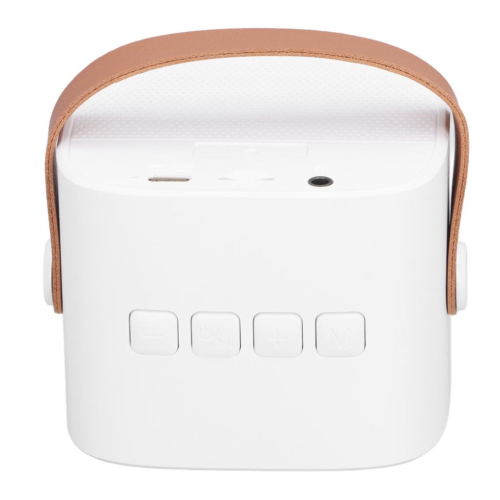 Детская караоке-машина Портативная Универсальная Долговечная Двойной микрофон Bluetooth-динамик для вечеринки