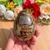 Natural Turtleback Egg Raw Stone Mining Collection Science Teaching Specimen Home Office Ornament Interior Decorations