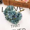 Color Carnation Home Decor Silk Flower Headdress Flower Small Flower DIY Material Flower Mori Style