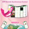 Wearable Dildo Vibrator Butterfly Clitoris Stimulator APP Control G-Spot Massager 9 Vibrating Modes Sex Toy for Women 's Panties