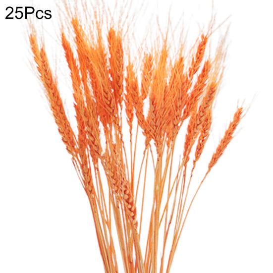 Практичная сушеная овсяная трава, яркая, не требует воды, деревенский стиль