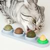 Edible Safe Chew Ball Nutrition Teeth Cleaning Cat Supplies Catnip Balls Molar Cat Snacks Cat Toys