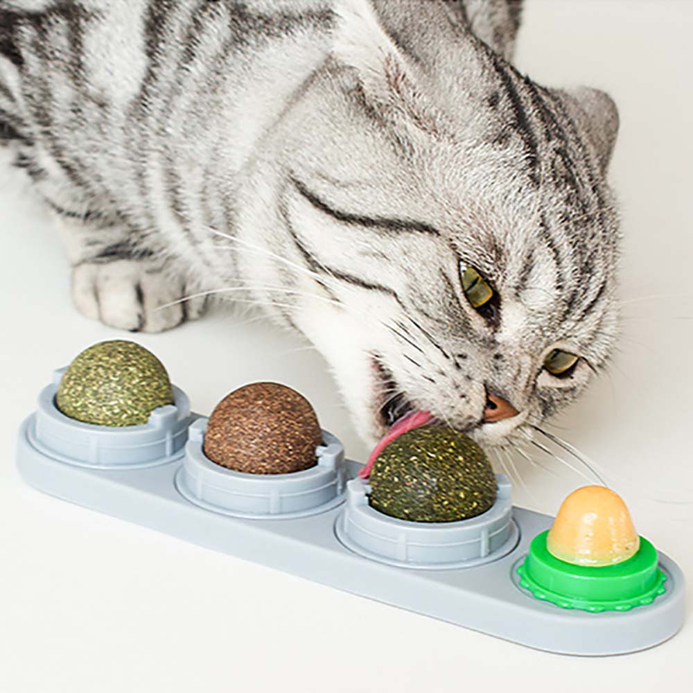 Edible Safe Chew Ball Nutrition Teeth Cleaning Cat Supplies Catnip Balls Molar Cat Snacks Cat Toys