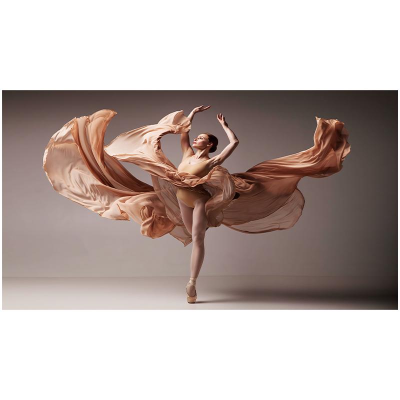 Элегантный Танец Современного Искусства Женщина Боди-Арт Картина Маслом Холст Картины Куадрос Фон Украшения Стены