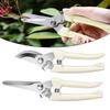 Comfortable Anti Slip Handle Pruners Stainless Steel Garden Shears Easy To Clean