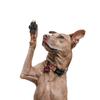 Набор из 4 штук противоскользящих накладок для лап собаки, обеспечивающих сцепление, наклеек для защиты лап собаки с более сильным клеем для твердого пола или травм