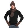 3Pcs Winter Warm Knit Beanie Hat Touchscreen Gloves Scarf Set for Women Men Skiing Skating Camping Driving Outdoor Sports Gifts