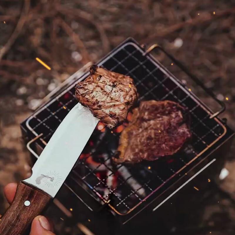 Portable Folding Camping Grill & Wood Stove