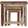 Set of 3  Sheesham Wood Nesting Table for Living Room Wooden Nesting Tables Stools for Decor Sofa Side Peg Home Flower Pot Vase Stand
