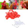 20Pcs Rooster Anti-peck Glasses, Small Chicken Glasses with Bolts, Anti-peck and Anti-fight Chicken Eye Masks, Chicken Equipment Supplies