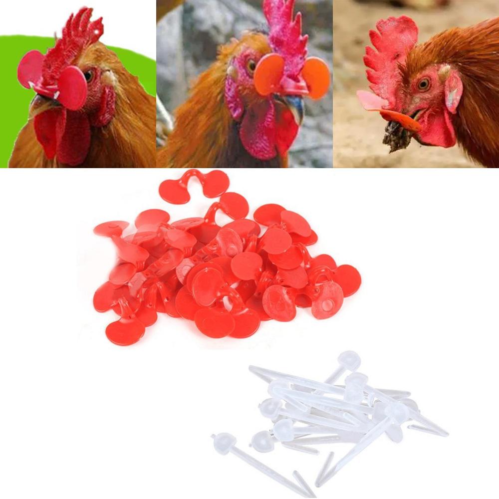 20Pcs Rooster Anti-peck Glasses, Small Chicken Glasses with Bolts, Anti-peck and Anti-fight Chicken Eye Masks, Chicken Equipment Supplies