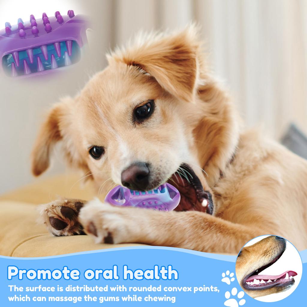 3Pcs Pet Dog Chew Toys Natural TPR Rubber Teeth Cleaning Grinding Non Toxic Toys 3 Shapes for Small Dog Chewing and Training