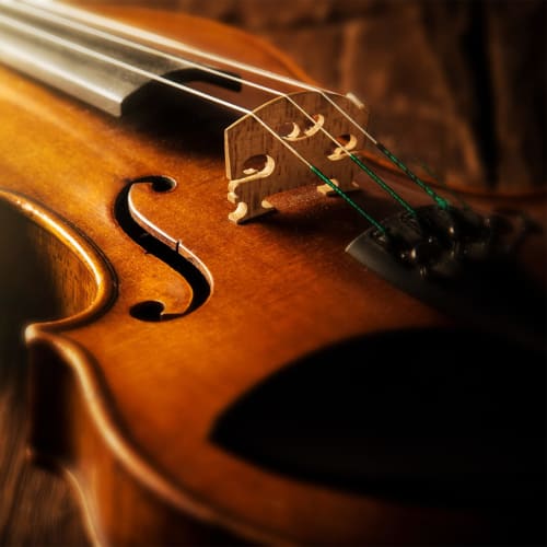 uxcell Maple Wood Violin Bridge for 1/8 Violins, 2 Pieces