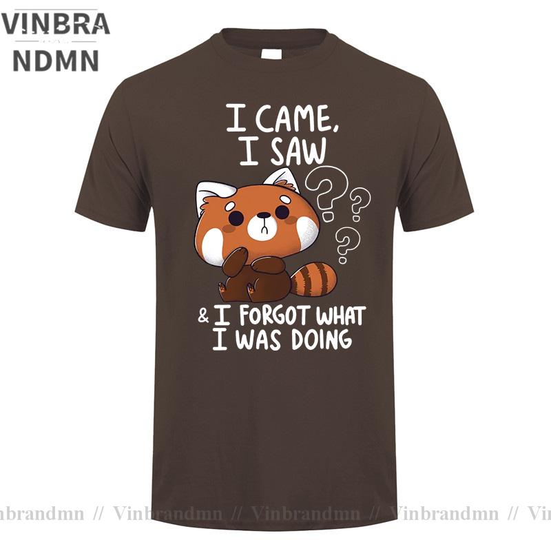 Funny Red Panda T Shirts Humor Cartoon Raccoon I Came I Saw I Forgot What I Was Doing Tshirt Streetwear Hip Hop Harajuku Tshirt