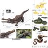 Realistic Snake Crocodile Figure Toy With Durable Plastic Material For Educational Use