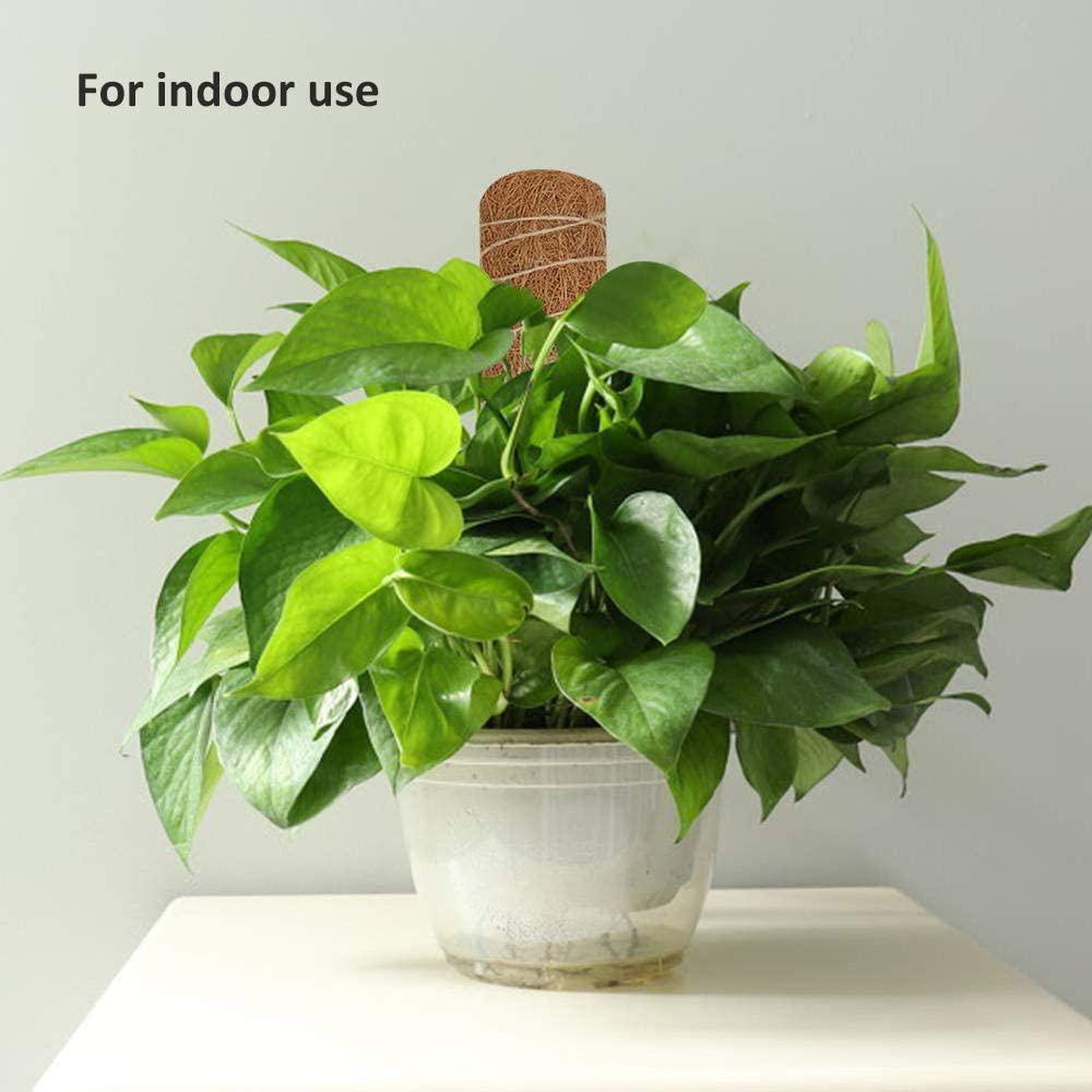 2 шт., 450 мм, тотемный столб из кокосового волокна, моховая палка, волокно, поддержка растений, тотемный столб для растений