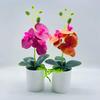 Long Lasting Simulation Bonsai Realistic Fashion Fresh Keeping Fake Butterfly Orchid