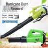 High-Power Handheld Electric Blower for Dust, Leaves, and Snow Removal - 220V Industrial Use