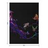 Jellyfish and insects Throw Blanket Kid'S For Decorative Sofa cosplay anime Large Blankets