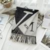 Autumn and Winter Wool Scarf Women's New Imitation Cashmere Letter V Warm Scarf Korean Style Versatile Long Tassel Shawl