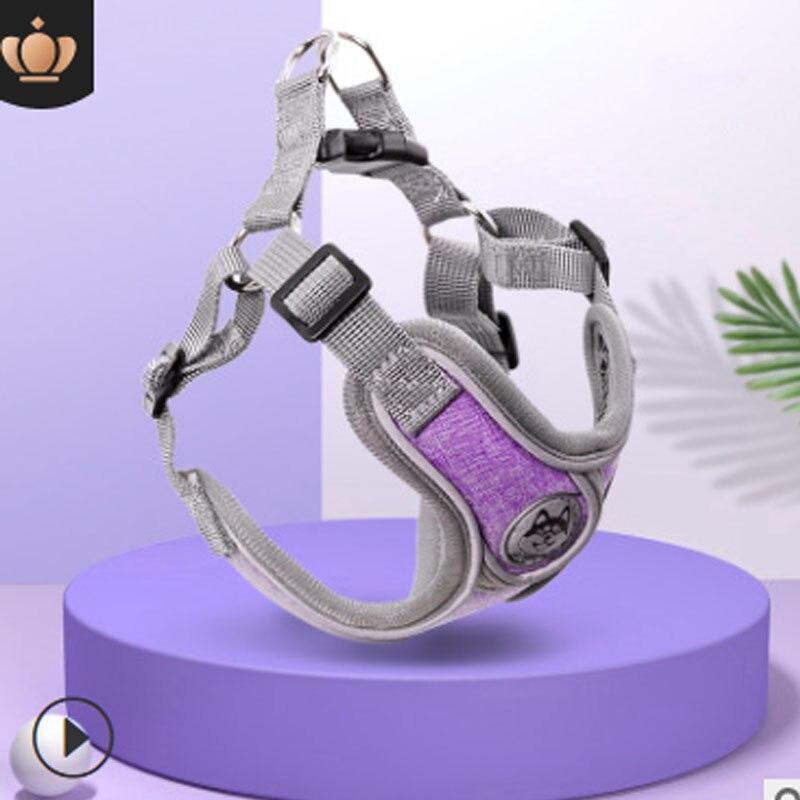 Дышащая шлейка для собак с поводком Светоотражающая оксфордская шлейка для собак Регулируемый размер Маленькие средние собаки