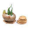 Bonsai Holder Planters Pot Stander Flowerpot Base Bamboo Wood Tray Hexagon Rectangle Round Square