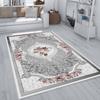 Washable Printed Carpet RVG1932-SD587