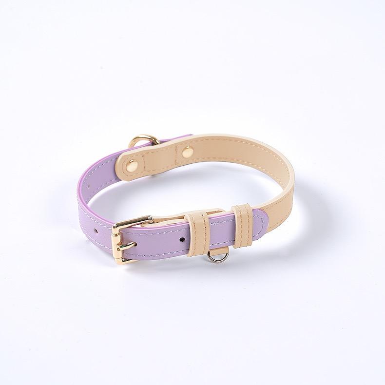2025 Hot Eco-Friendly Soft Breathable Leather Modern Dog Collar with Leashes Set For Pets