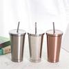 500ml Double Wall 304 Stainless Steel Coffee Bottle with Straw Travel Juice Cup Water Tea Milk Mugs Kitchen Drinkware