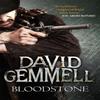 Bloodstone by David Gemmell Paperback Book 9780356503998