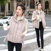 Down Cotton Vest Women's Winter New Loose and Light Stand-up Collar Design Streamer Warm Vest Tide