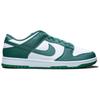 Nike Dunk Low GS Bicoastal Kids Sneakers White HF4798-100