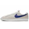 Sb Blazer Low Polar Skate Co AV3028-100