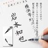 Пентел Кисть-перо Pentel Brush XFP5M Средняя Черная